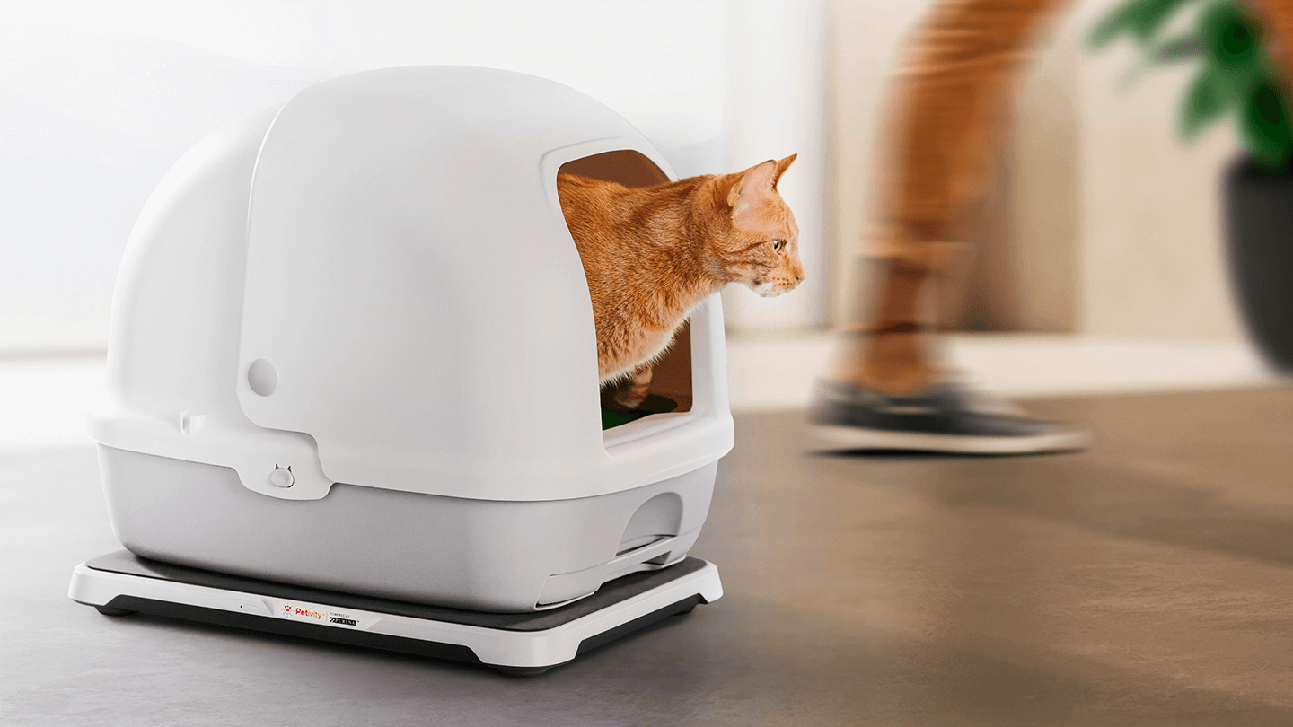 purina-petivity-smart-litter-box-monitor-header